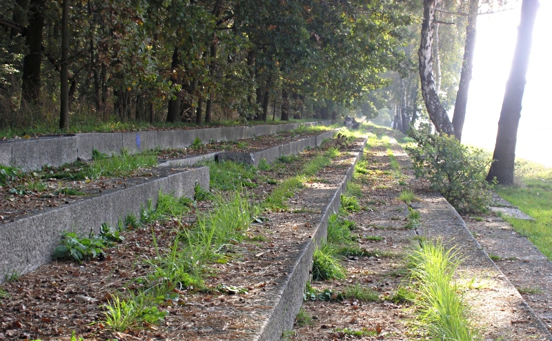 Tribune along the Great Road