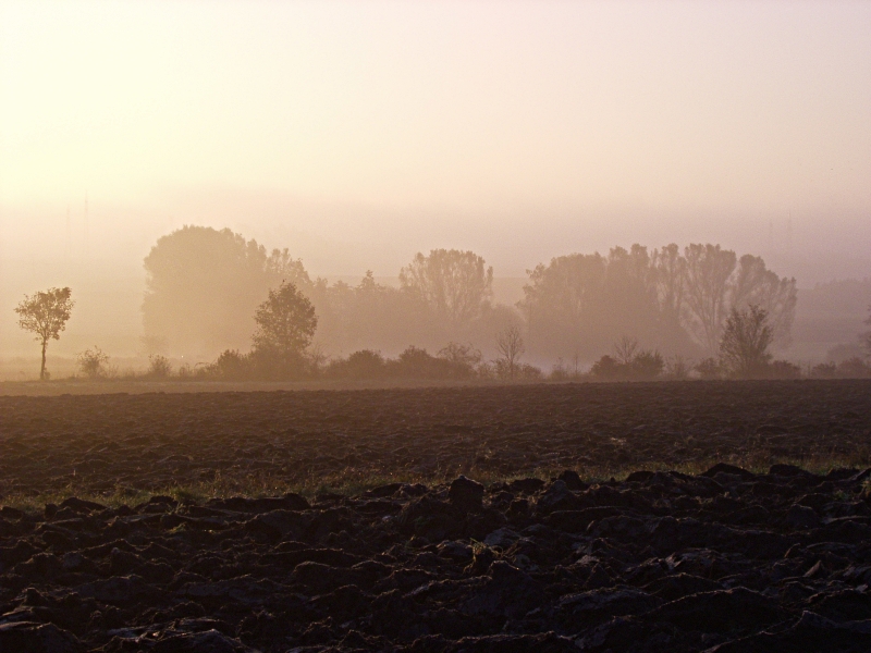 Sunrise Over Morning Mist