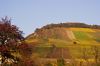 Vineyards in Autumn by Udo Altmann