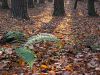 The Last Green by Udo Altmann