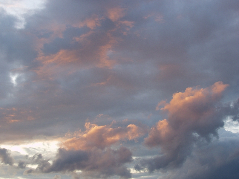 Ahead of the Thunder-storm