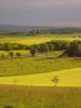 Not Tuscany by Udo Altmann