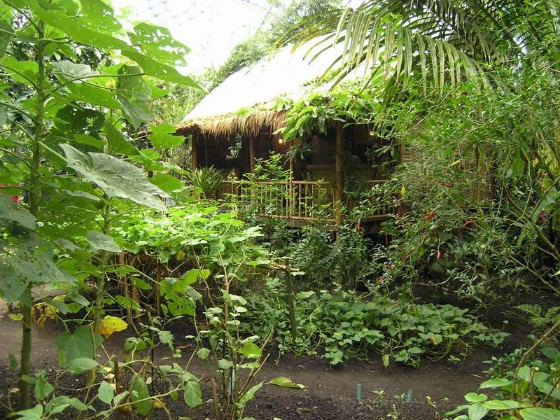 Eden Project