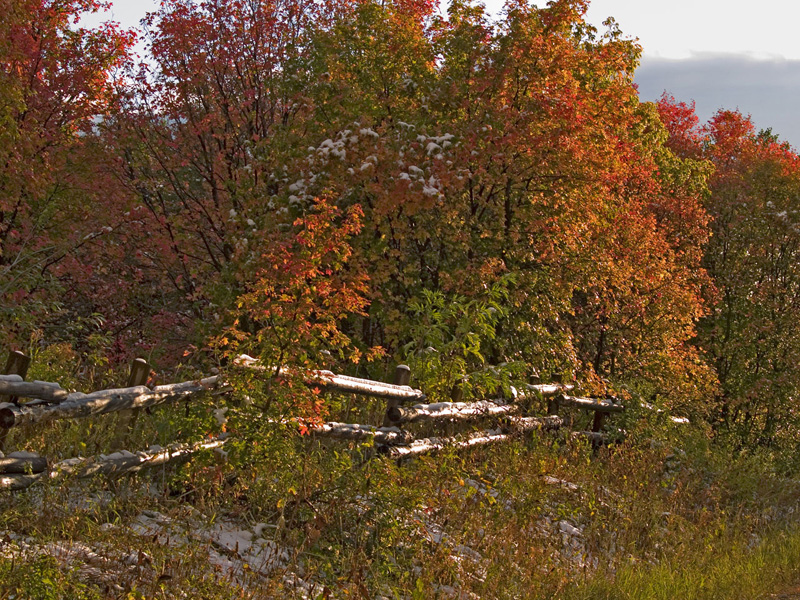 Fall sunset fence