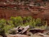 Burr Trail -- Canyon by Chris Galbraith