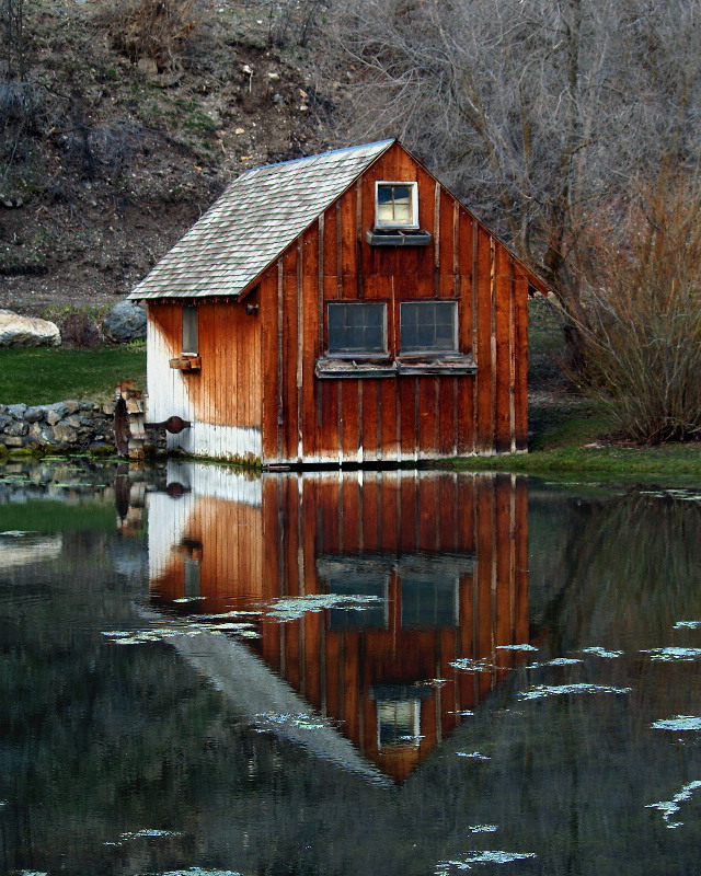 Mill Pond