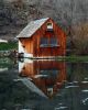 Mill Pond by Chris Galbraith