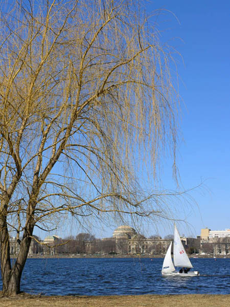 Early Spring at Charles
