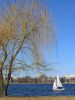 Early Spring at Charles by Lee W