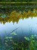 Reflecting Pond by Lee W