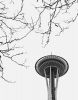 Seattle Winter by Lee W