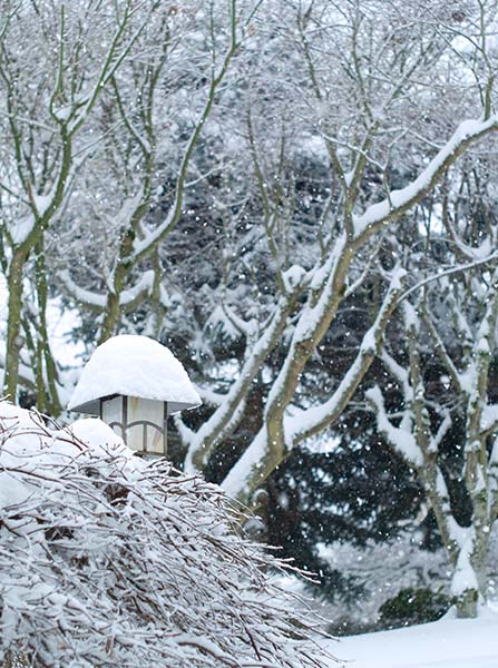 Snowing