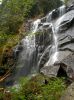 Spring Falls