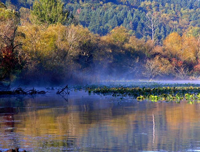 Autumn Reflections