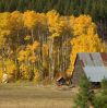 Barn in Fall Colors