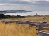 Cattle Point