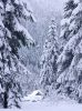 Deep in Snow by Lee W