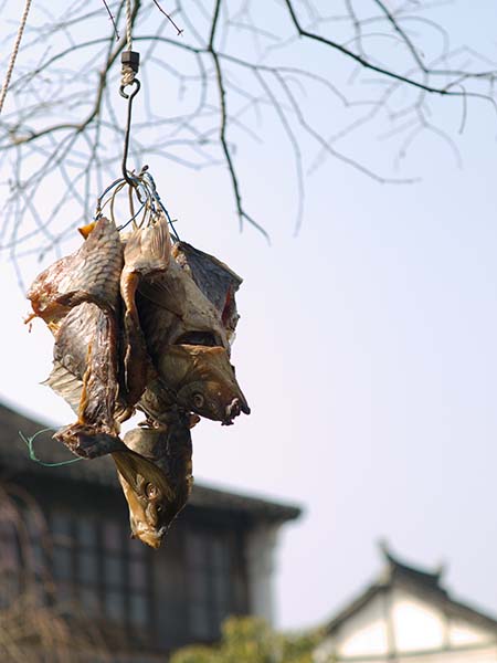 Dry Fish