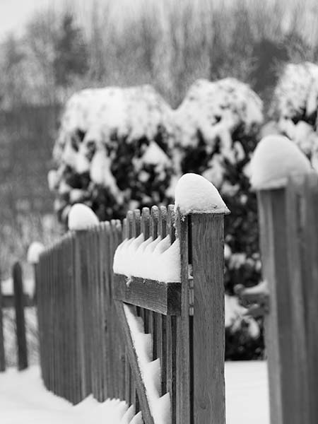Fence