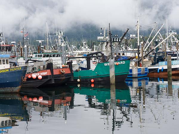 Fishing Port
