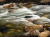 Flow