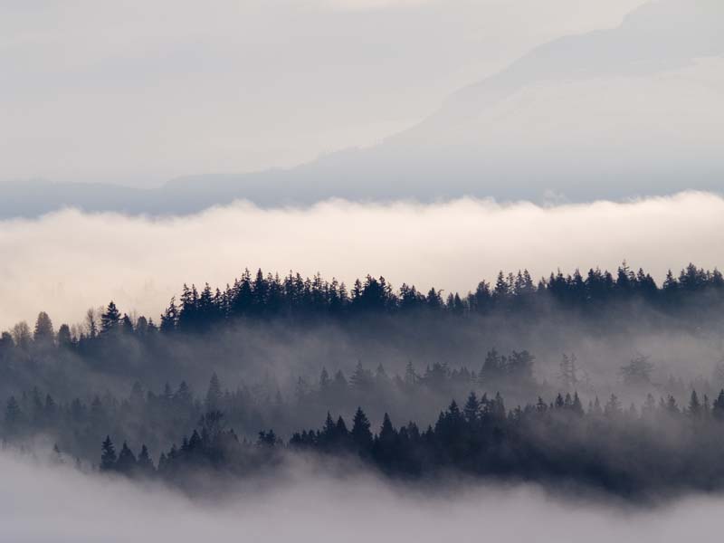 Flow of Clouds