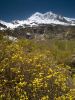 Flowers and Snow Peaks by Lee W