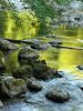 Golden Creek by Lee W