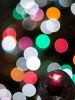 Happy Holidays by Lee W