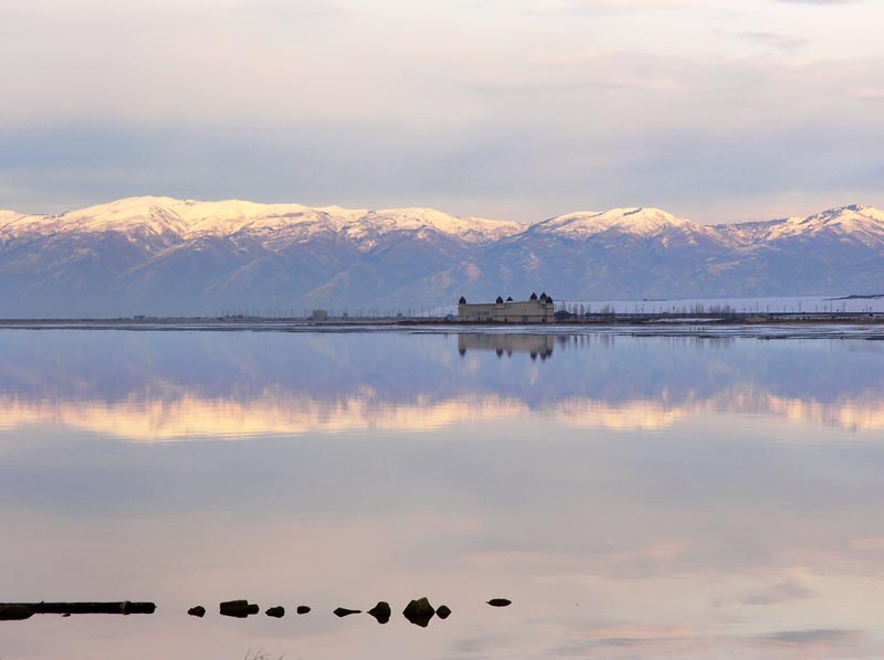 Mirror in Nature
