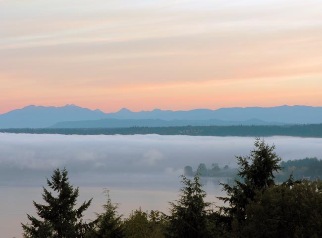 Morning Fog