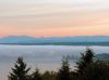 Morning Fog