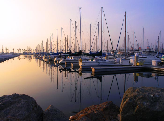 Morning Harbor