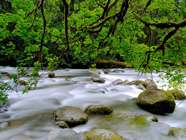 Silk River
