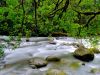 Silk River