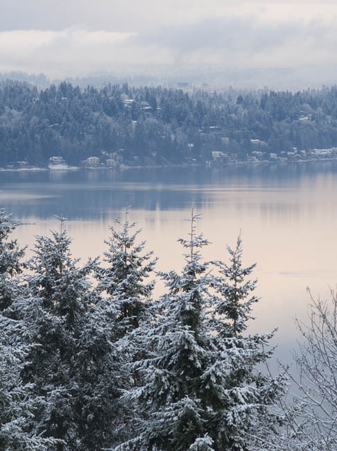Soft Light in a Snowy Morning