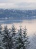 Soft Light in a Snowy Morning