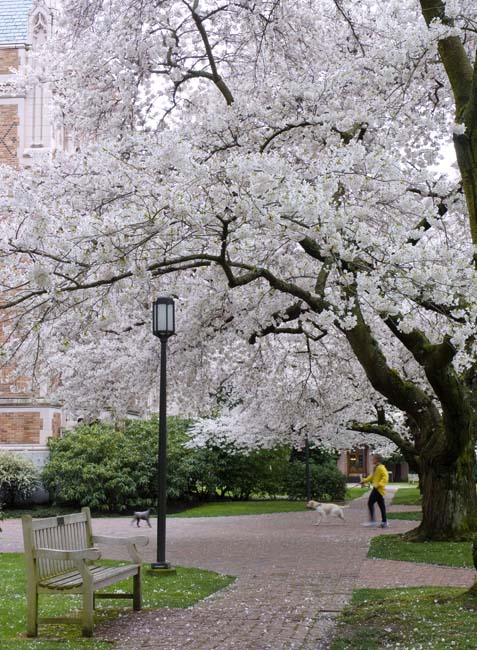 Spring in the Air