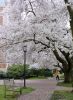 Spring in the Air