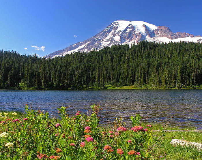 Summer Mt. Rainier