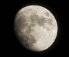 The Moon