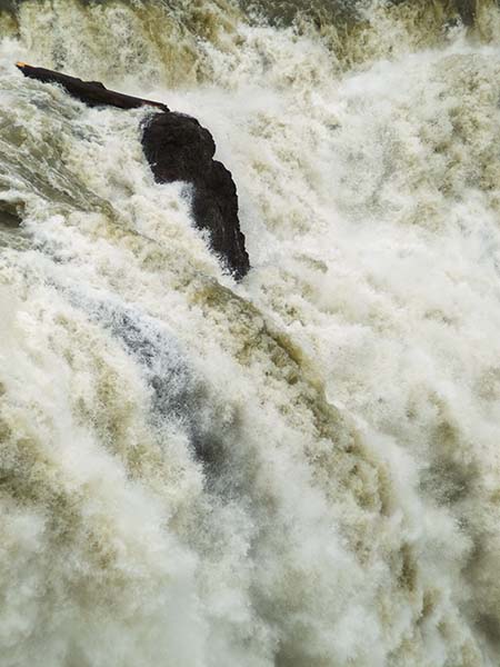 The Power of Nature