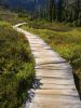 Walking in Paradise