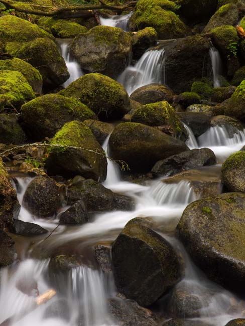 Water, Moss, and Rocks
