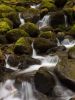 Water, Moss, and Rocks