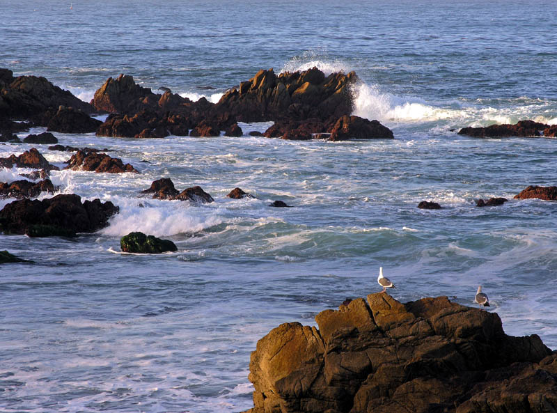 Wave Watchers