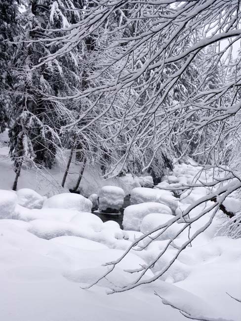 Winter Passage