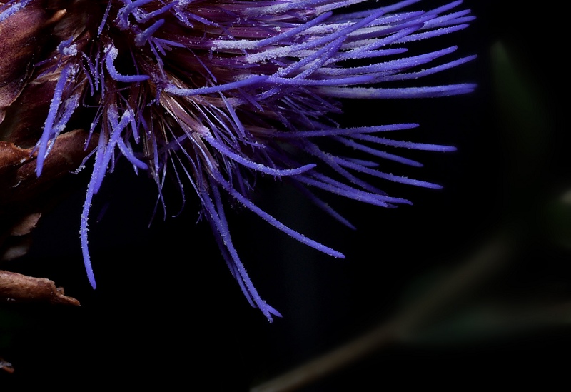 Blue (2)