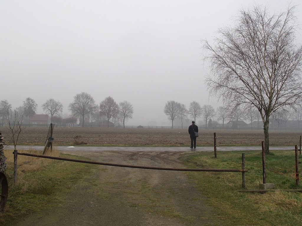 Mist