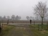Mist